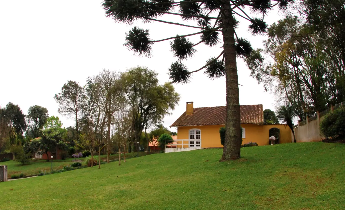 yoga santa felicidade