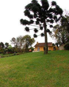 yoga santa felicidade