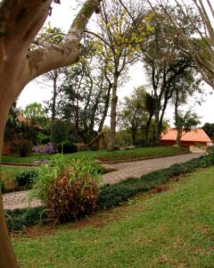 yoga santa felicidade