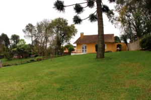 Onde o silêncio fala, o corpo dança e a alma sorri — bem-vindo ao Yoga Santa Felicidade